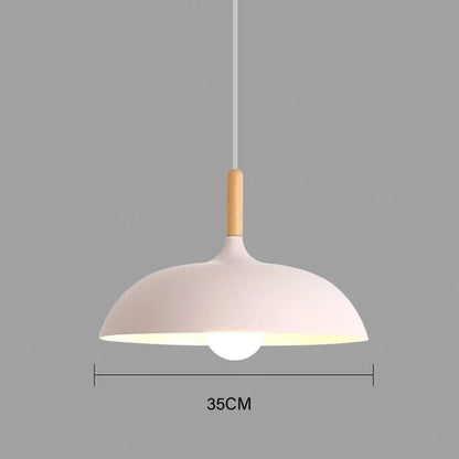 Adjustable Indoor Hanging Lamp - Modern Pendant Ceiling Light