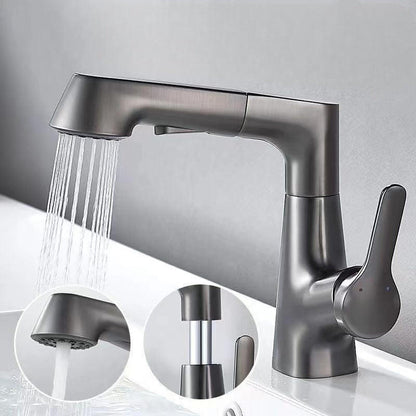 Bathroom Faucet with Swivel Pull-Out Hand Shower