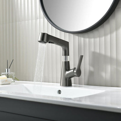Bathroom Faucet with Swivel Pull-Out Hand Shower