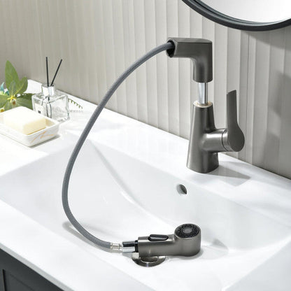 Bathroom Faucet with Swivel Pull-Out Hand Shower