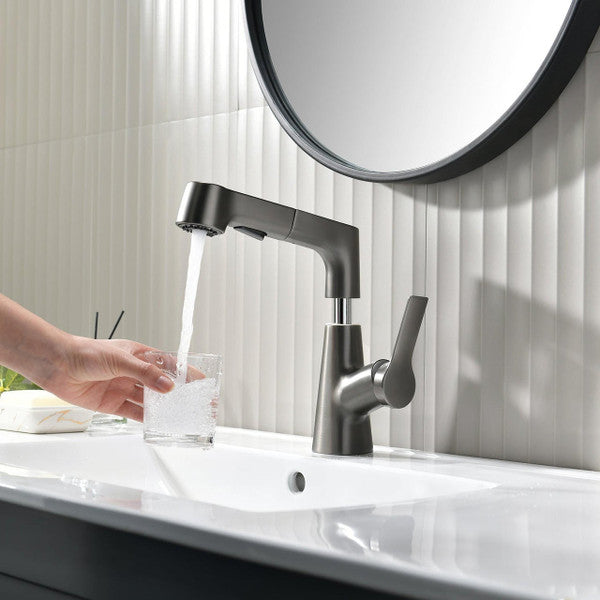 Bathroom Faucet with Swivel Pull-Out Hand Shower