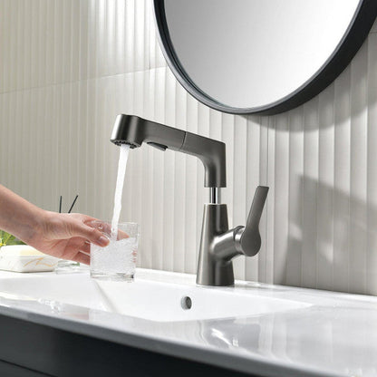 Bathroom Faucet with Swivel Pull-Out Hand Shower