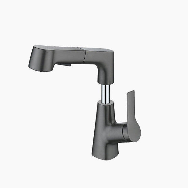 Bathroom Faucet with Swivel Pull-Out Hand Shower