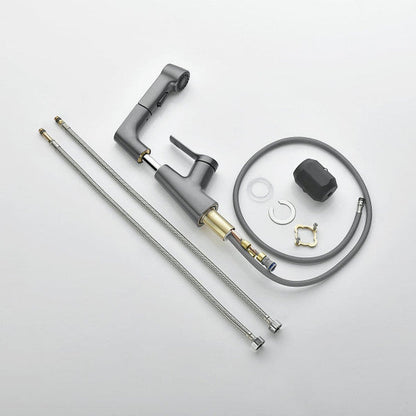 Bathroom Faucet with Swivel Pull-Out Hand Shower