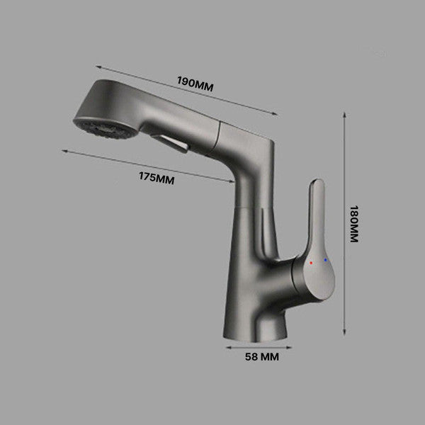 Bathroom Faucet with Swivel Pull-Out Hand Shower