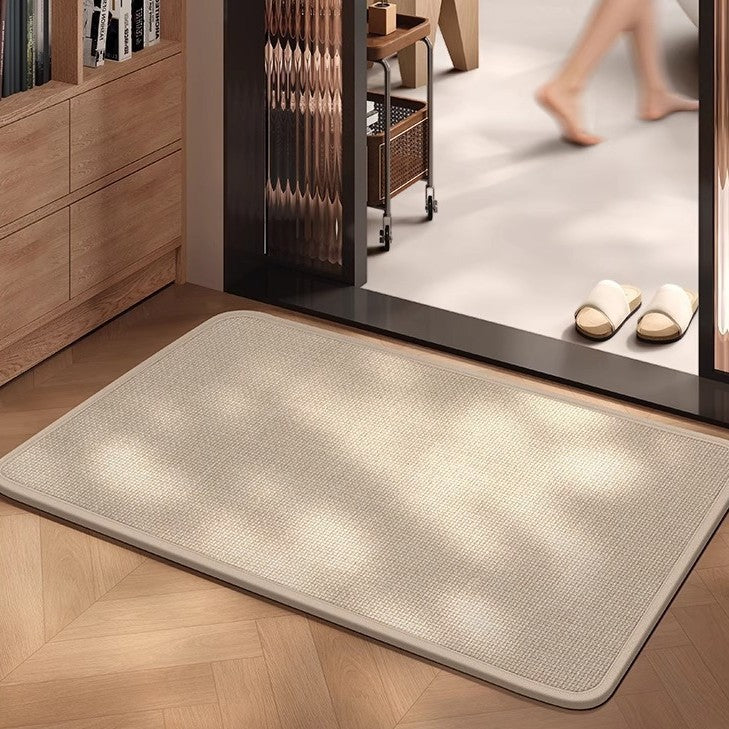 Non-Slip Door Mat with Absorbent Fabric