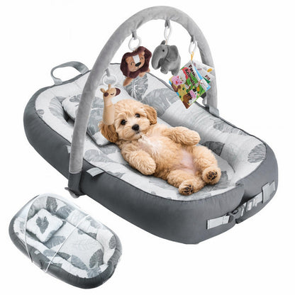 Pet Bed with Integrated Play Lounger Design