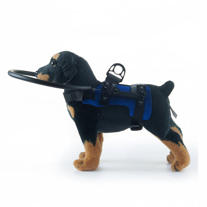 Mobility Support Harness for Dogs with Visual Impairment