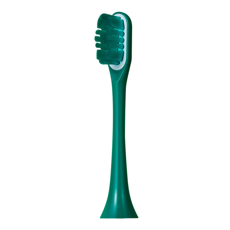 Toothbrush for Enhanced Oral Hygiene