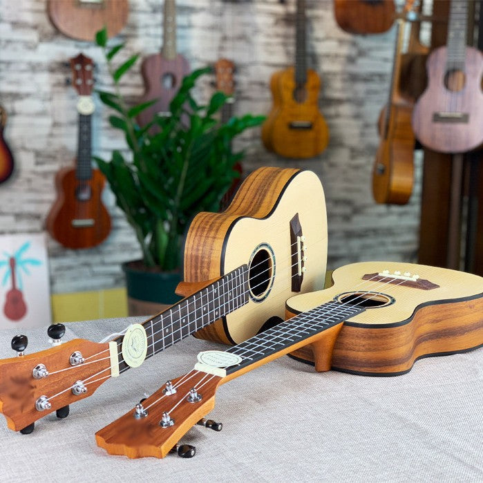 Ukulele - Acoustic Musical Instrument