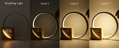 USB Port LED Desk Lamp with Multiple Functions
