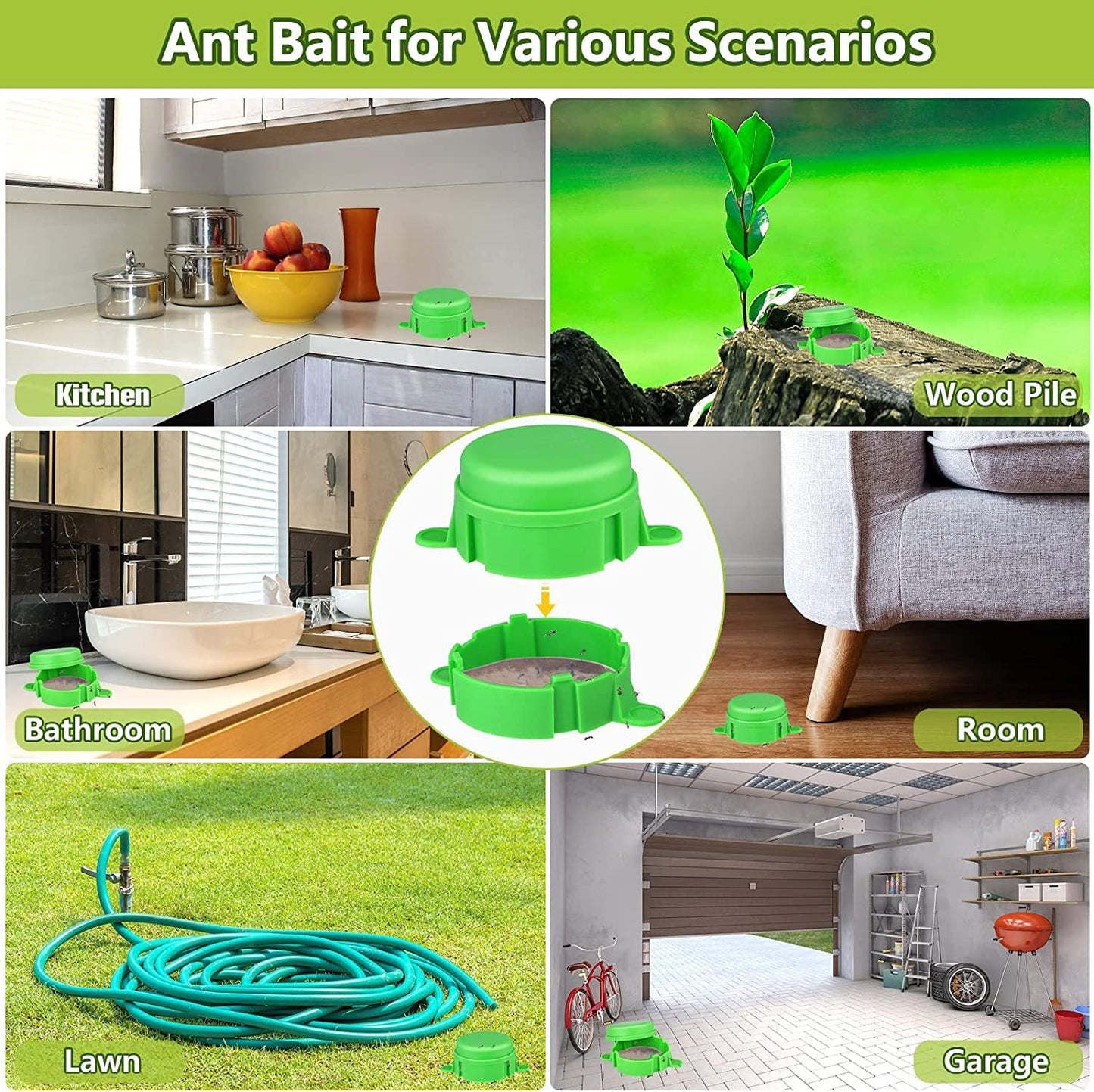 Wasp and Ant Trap with Refill Mechanism
