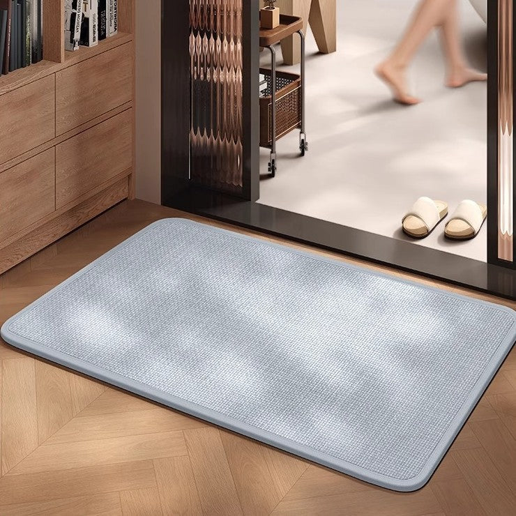 Non-Slip Door Mat with Absorbent Fabric