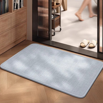 Non-Slip Door Mat with Absorbent Fabric