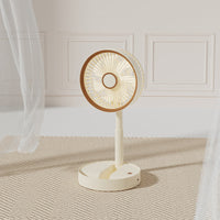 Desk Fan