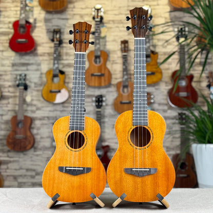 23-Inch Acoustic Ukulele - Musical Instrument for Beginners
