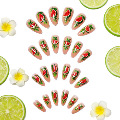 Creative Watermelon Nail Design Kit
