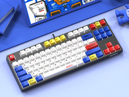 Custom Mechanical Keyboard with 87 Keys
