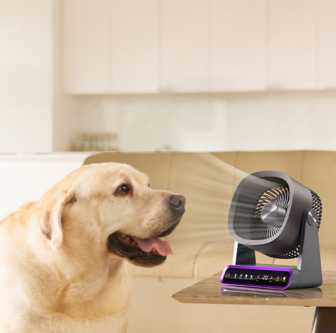 Compact Air Circulator Fan for Efficient Airflow
