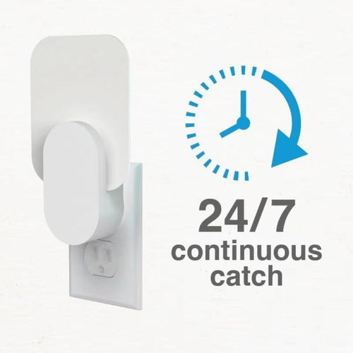 Continuous Wall-Mounted Magnetic Catch and Compact Organizer for Keys