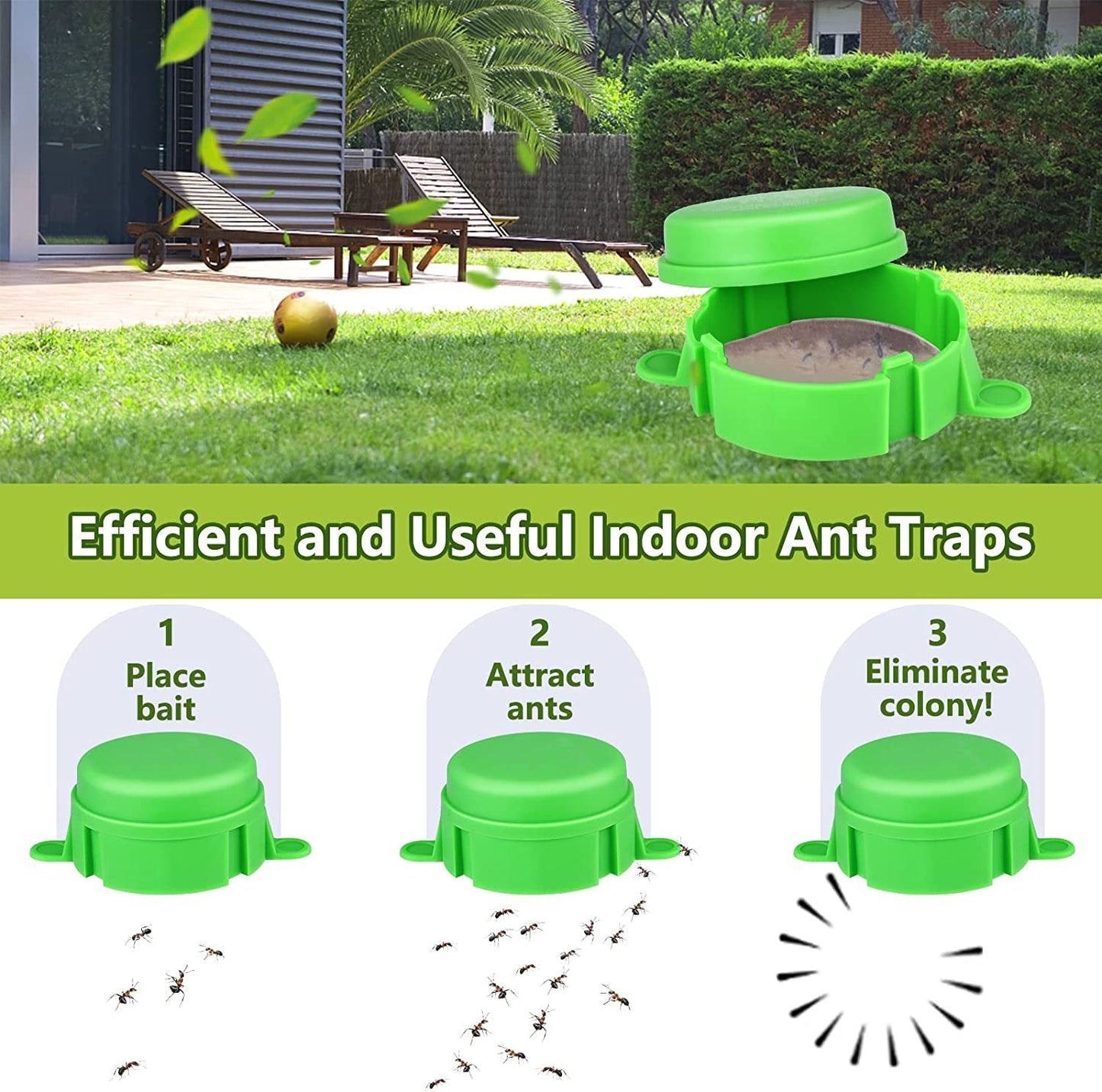 Wasp and Ant Trap with Refill Mechanism