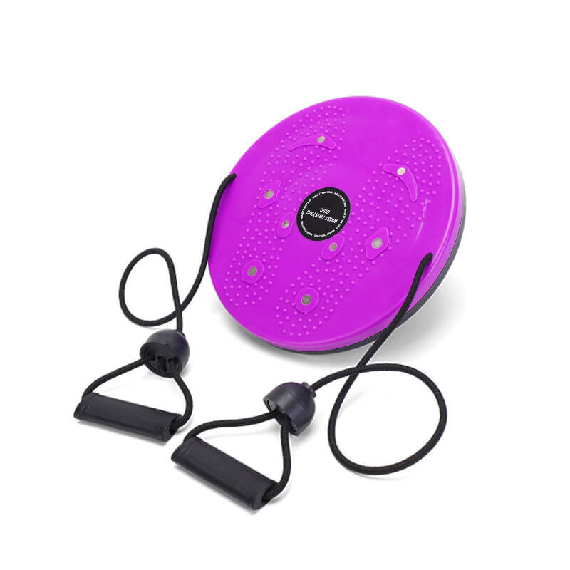 FlexiTwist Home Fitness Trainer