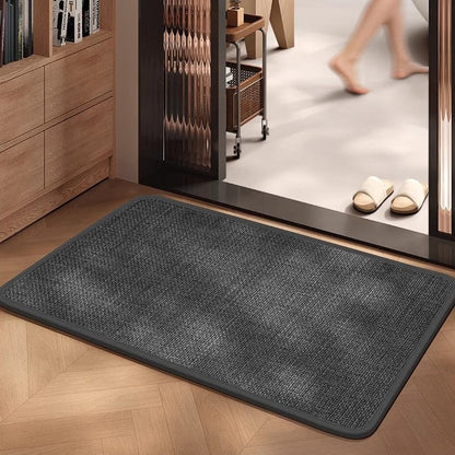 Non-Slip Door Mat with Absorbent Fabric