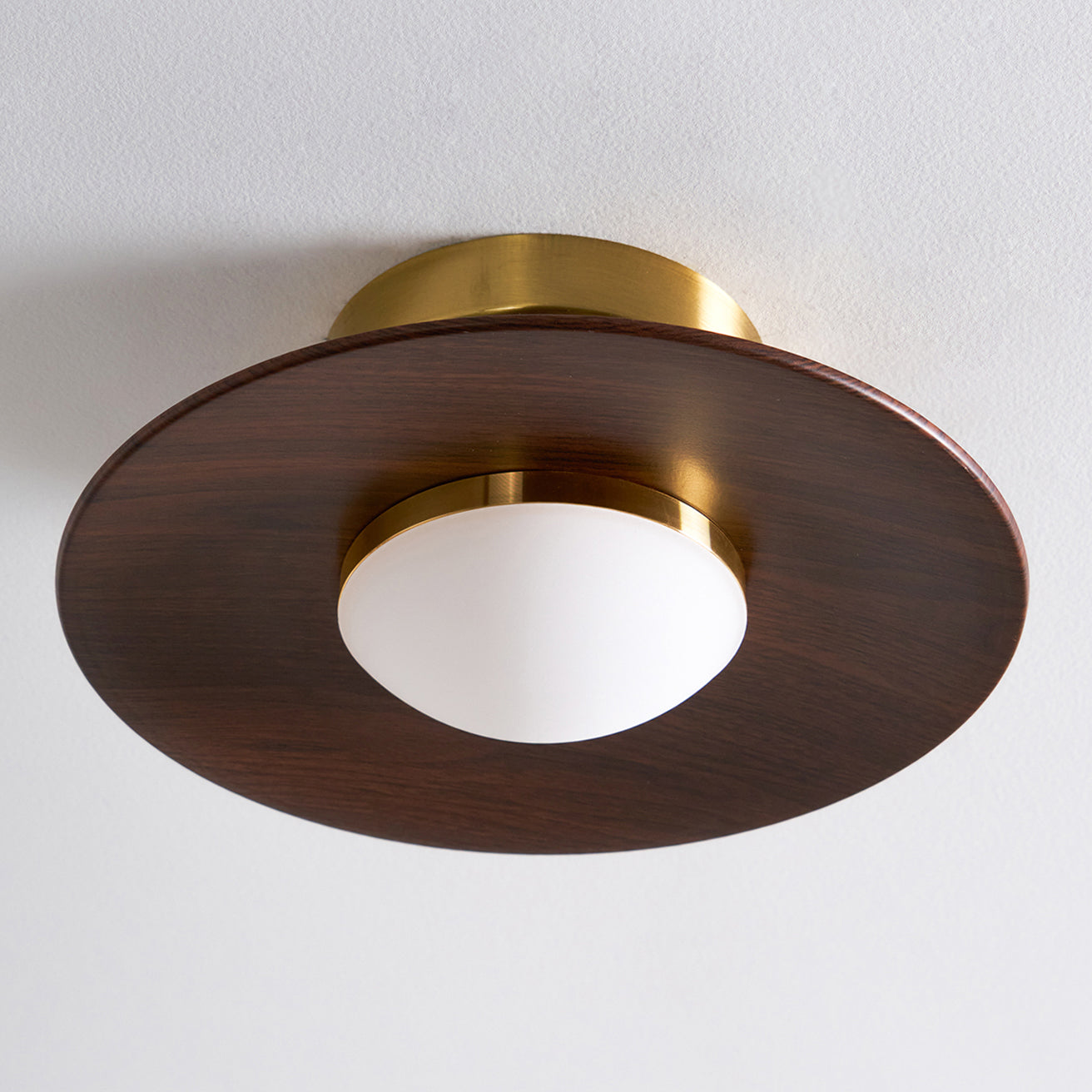 Ceiling Light Fixture - Modern Design