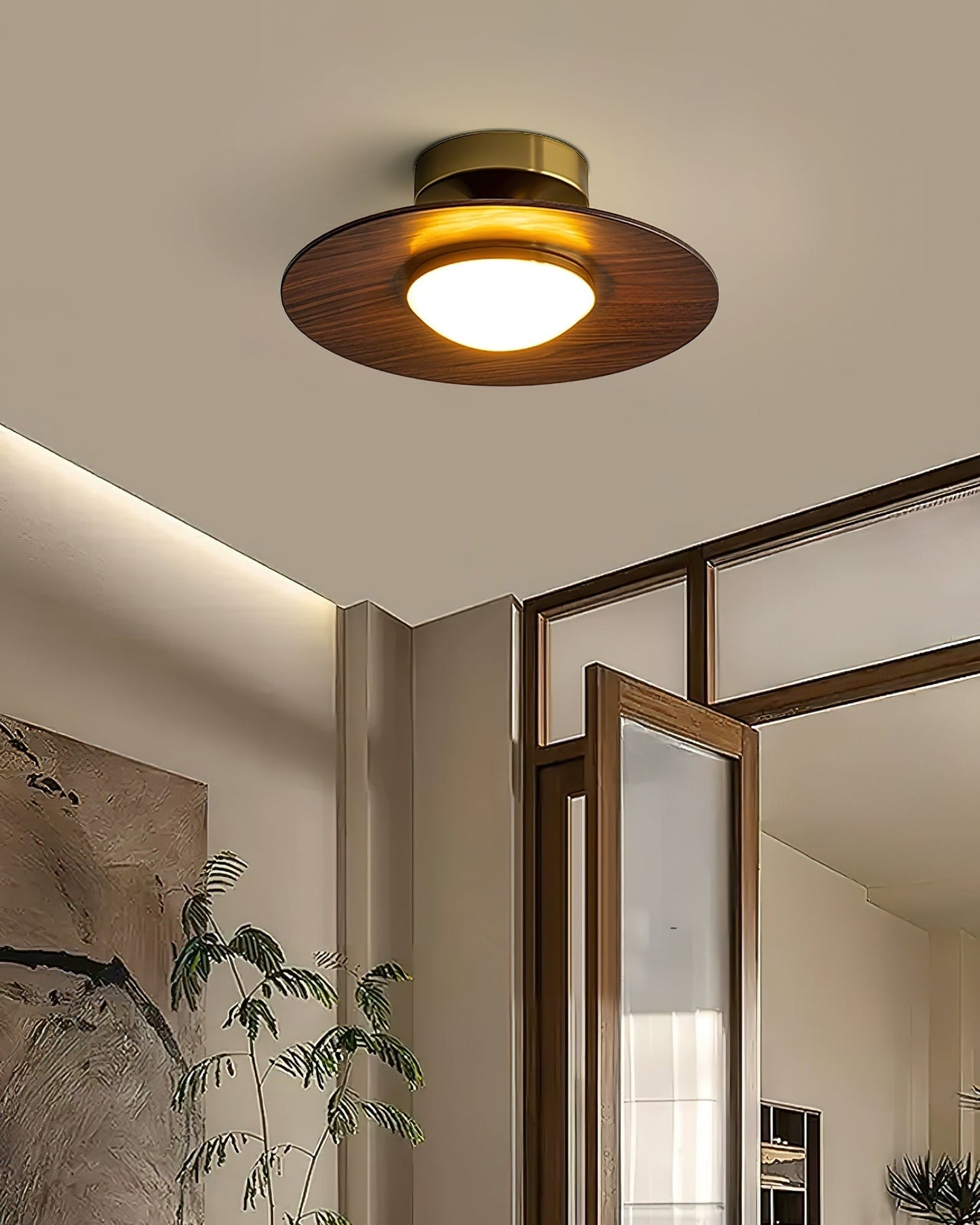 Ceiling Light Fixture - Modern Design