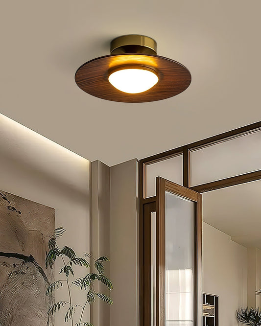 Ceiling Light Fixture - Modern Design