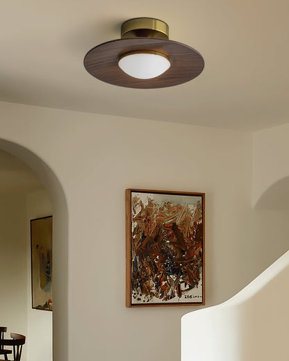 Flush Mount Low Profile LED Ceiling Light in Modern Design