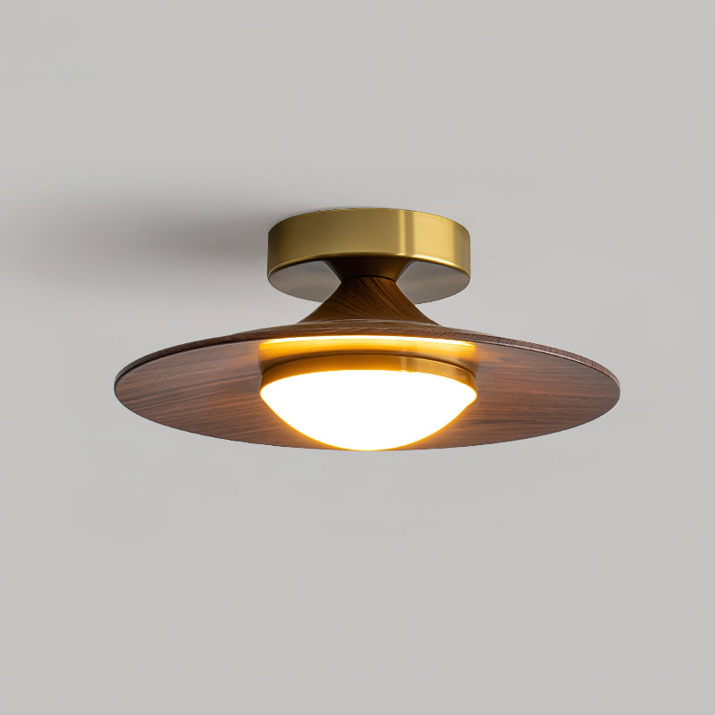 Ceiling Light Fixture - Modern Design