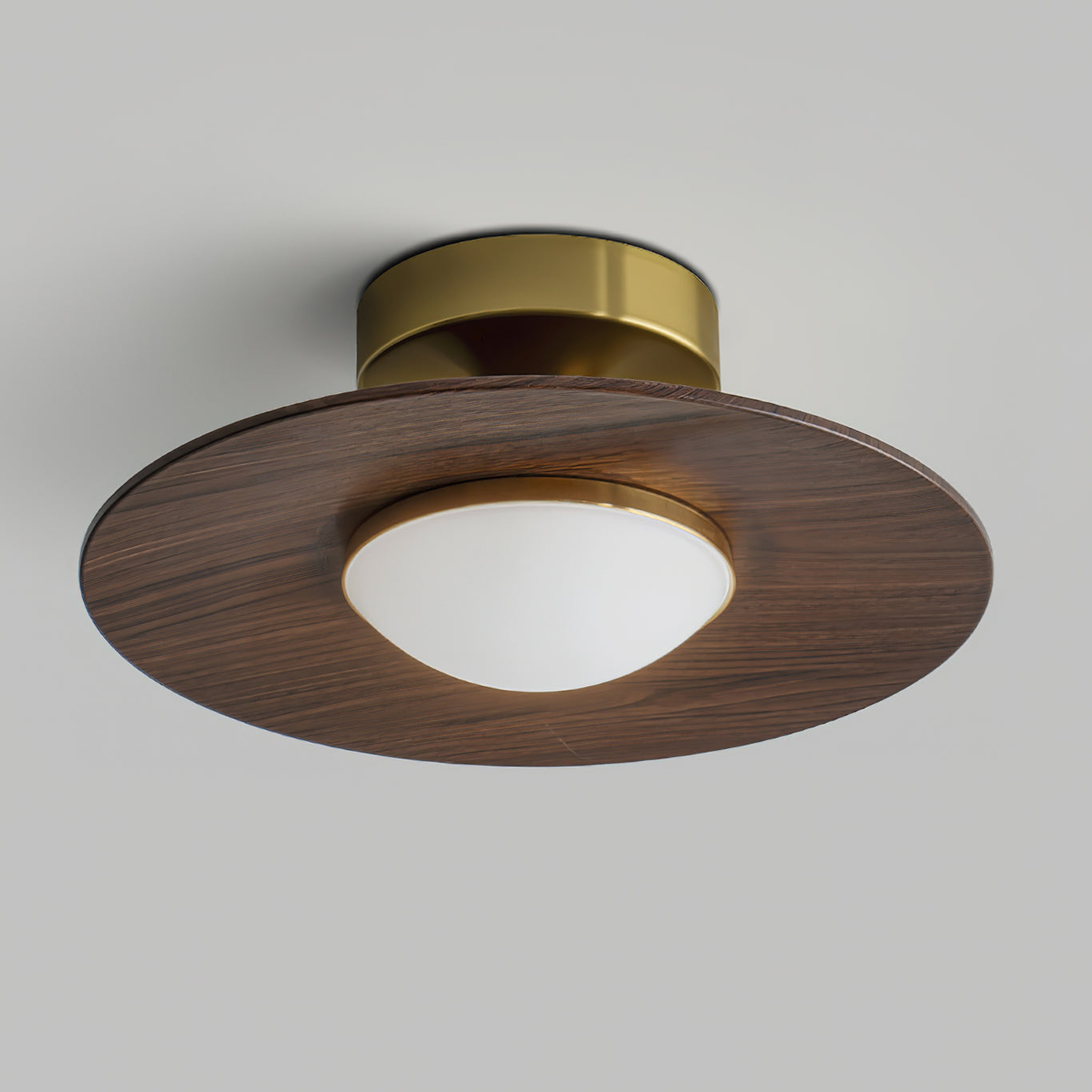 Ceiling Light Fixture - Modern Design