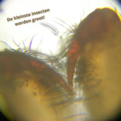 Digital Mini Microscope – Explore the Hidden World