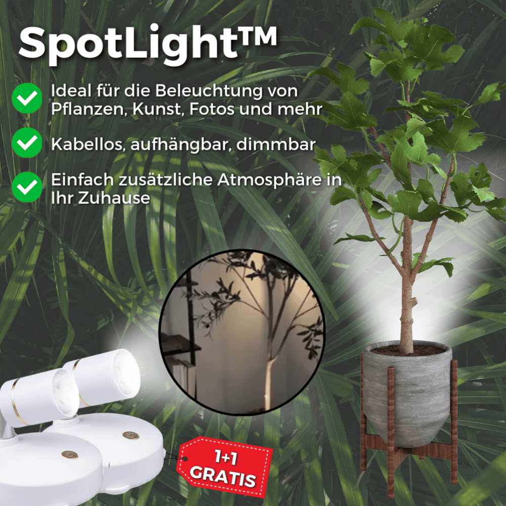 Buy One Get One Free | Wireless LED Spotlight [Last Day Discount]