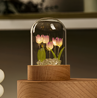 Purple 5 Tulips