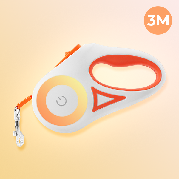 BrightLeash: Illuminated Dog Leash for Night Walks