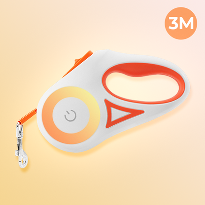BrightLeash: Illuminated Dog Leash for Night Walks