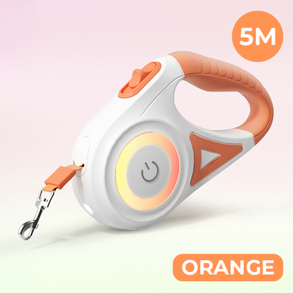 BrightLeash: Illuminated Dog Leash for Night Walks