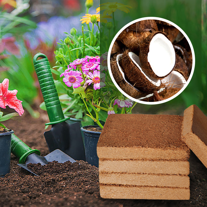 CocoBlend Plant Substrate | Enhanced Growth, Superior Drainage & Root Health