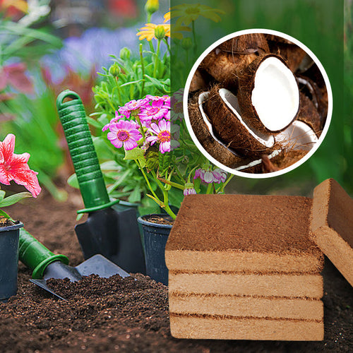 CocoBlend Plant Substrate | Enhanced Growth, Superior Drainage & Root Health