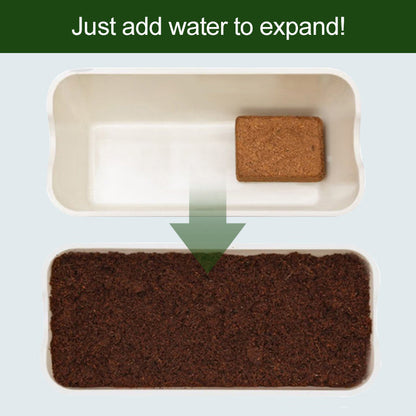 CocoBlend Plant Substrate | Enhanced Growth, Superior Drainage & Root Health