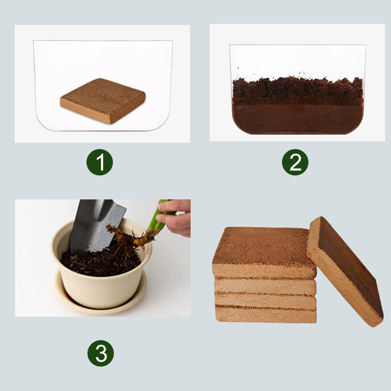 CocoBlend Plant Substrate | Enhanced Growth, Superior Drainage & Root Health