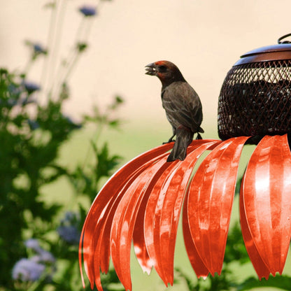 Bird Feeder House – 50% Off Today!
