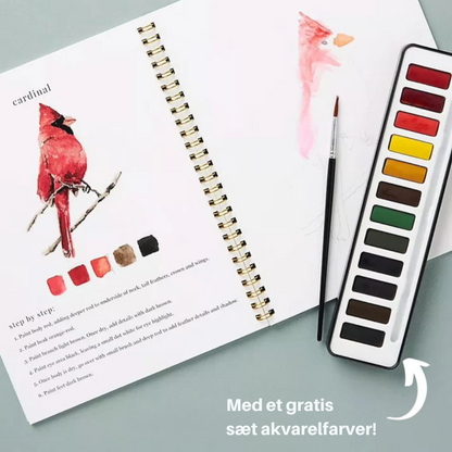 Watercolor Creation Kit for Stress-Free Artistry
