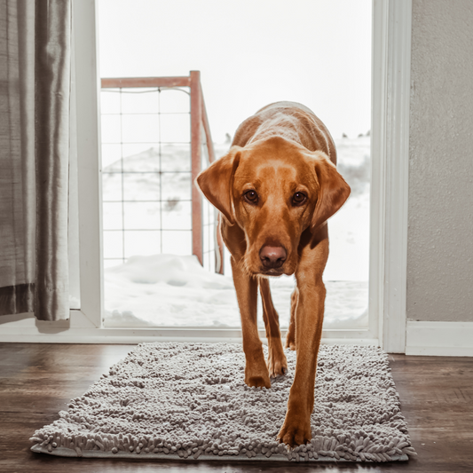 Dog Door Mat for Dirty Paws – Highly Absorbent Floor Mat