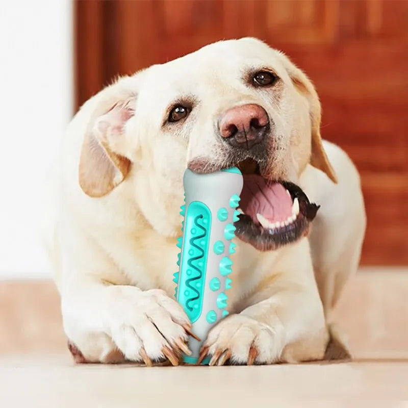 Interactive Rubber Dog Toy with Cleaning Features