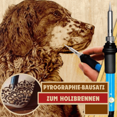 Artistry Heat Pen Kit 60W with Adjustable Temperature Control