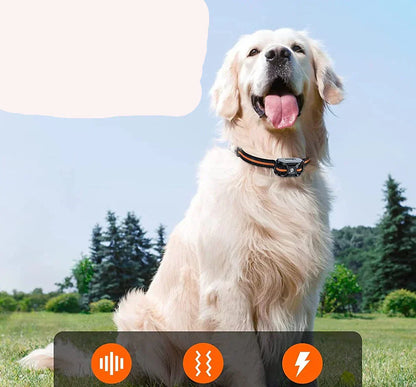 Dog Training Collar with 1000m Range, Waterproof