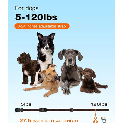 Dog Training Collar with 1000m Range, Waterproof